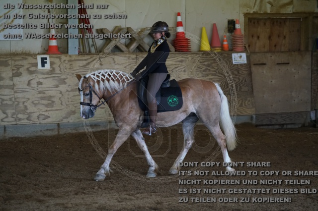 s_K3F03479.JPG